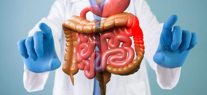 GI-Surgery GI-Surgery